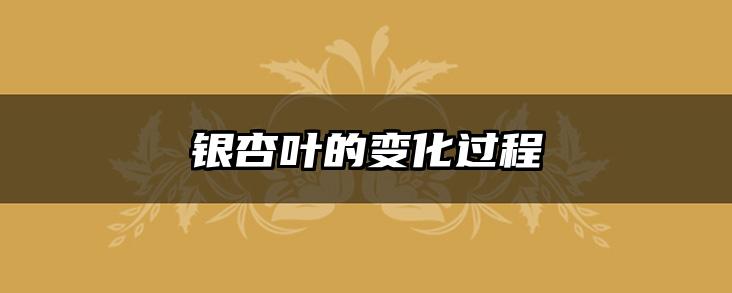 银杏叶的变化过程
