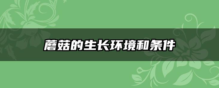蘑菇的生长环境和条件