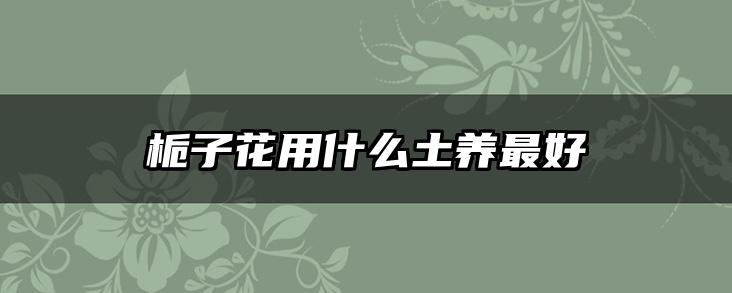 栀子花用什么土养最好