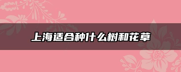 上海适合种什么树和花草