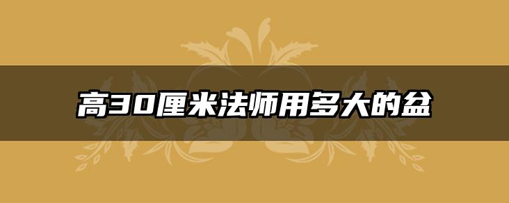 高30厘米法师用多大的盆