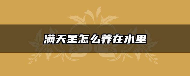 满天星怎么养在水里