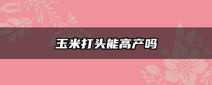 玉米打头能高产吗