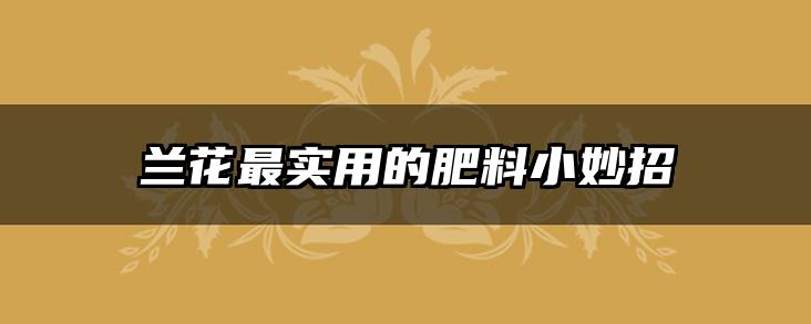 兰花最实用的肥料小妙招