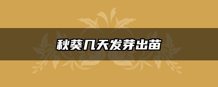 秋葵几天发芽出苗