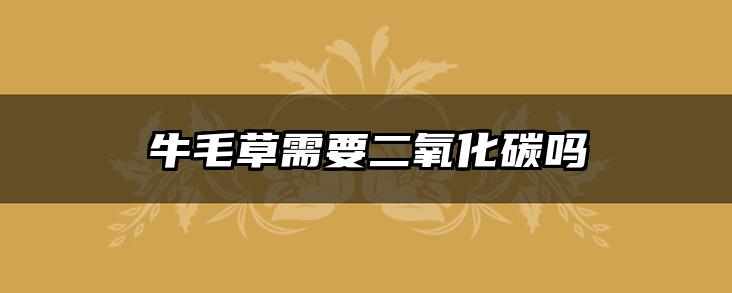 牛毛草需要二氧化碳吗