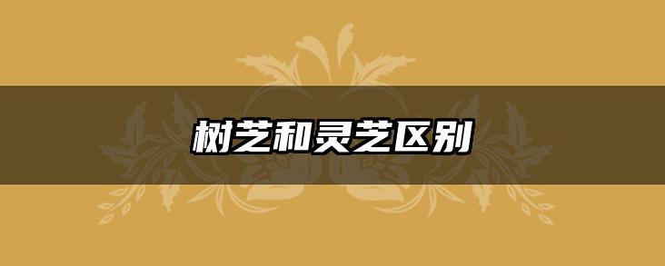 树芝和灵芝区别