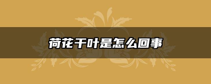 荷花干叶是怎么回事