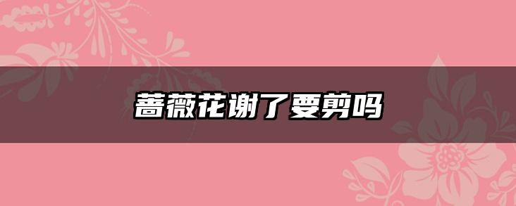 蔷薇花谢了要剪吗