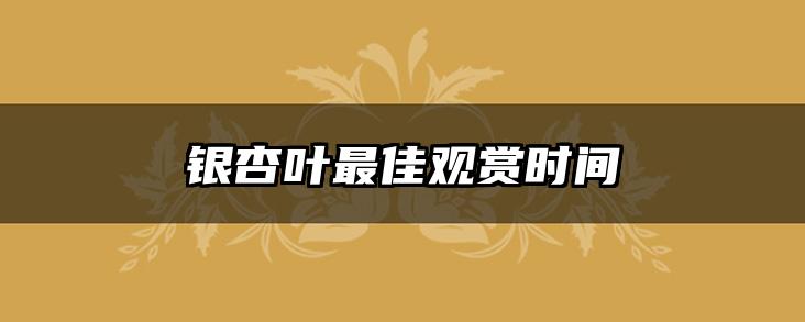 银杏叶最佳观赏时间