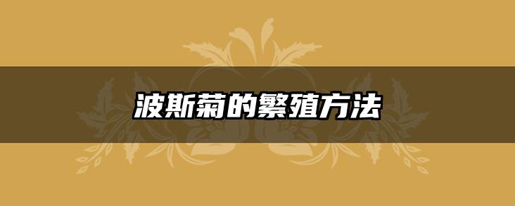 波斯菊的繁殖方法