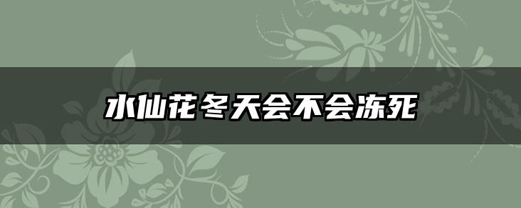 水仙花冬天会不会冻死