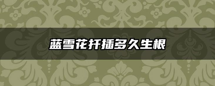 蓝雪花扦插多久生根