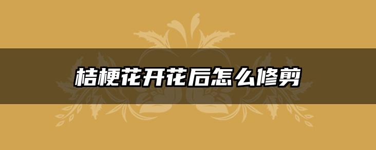 桔梗花开花后怎么修剪