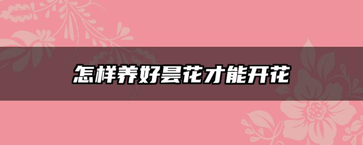 怎样养好昙花才能开花