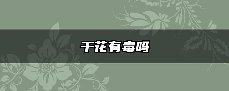 干花有毒吗