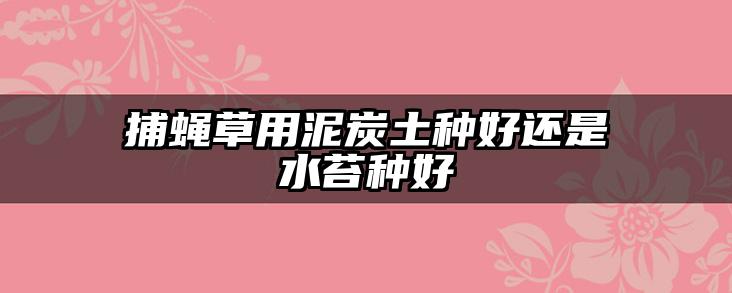 捕蝇草用泥炭土种好还是水苔种好