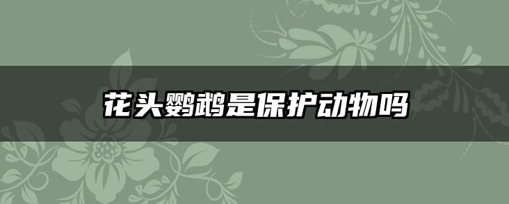 花头鹦鹉是保护动物吗