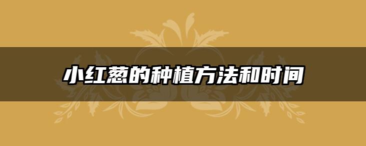 小红葱的种植方法和时间