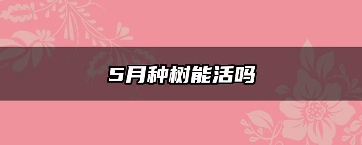 5月种树能活吗