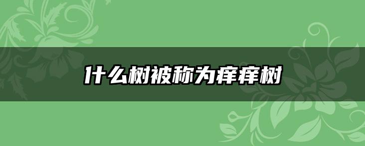 什么树被称为痒痒树
