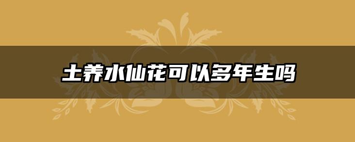 土养水仙花可以多年生吗