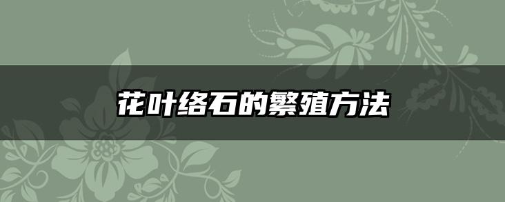 花叶络石的繁殖方法