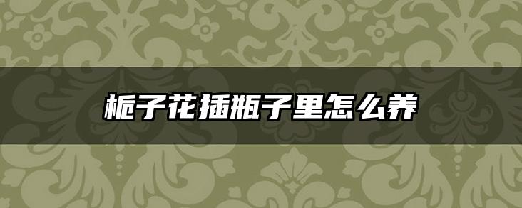 栀子花插瓶子里怎么养