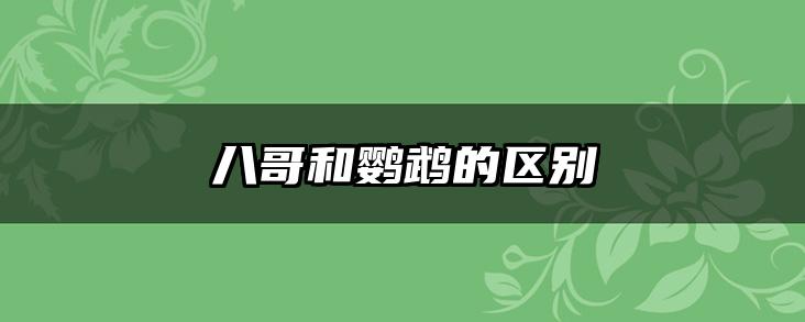 八哥和鹦鹉的区别