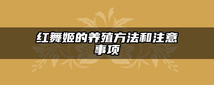 红舞姬的养殖方法和注意事项
