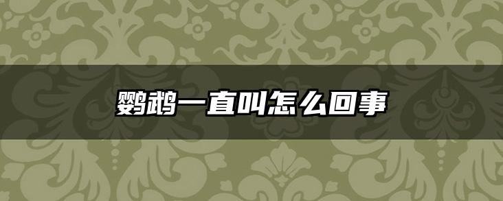 鹦鹉一直叫怎么回事