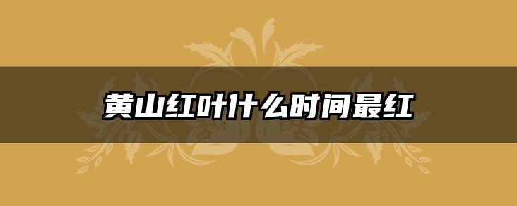 黄山红叶什么时间最红
