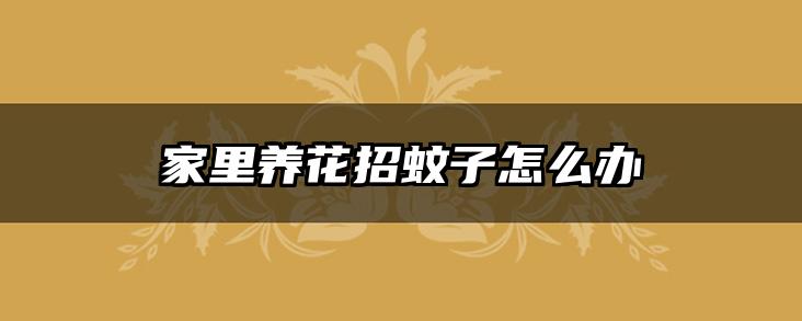 家里养花招蚊子怎么办