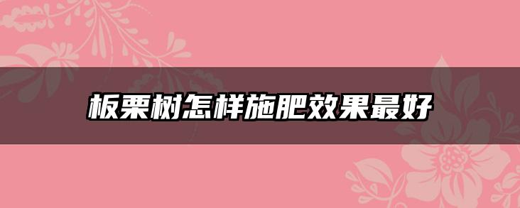 板栗树怎样施肥效果最好