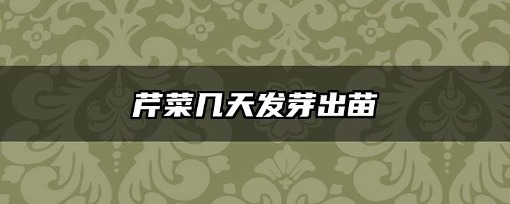 芹菜几天发芽出苗