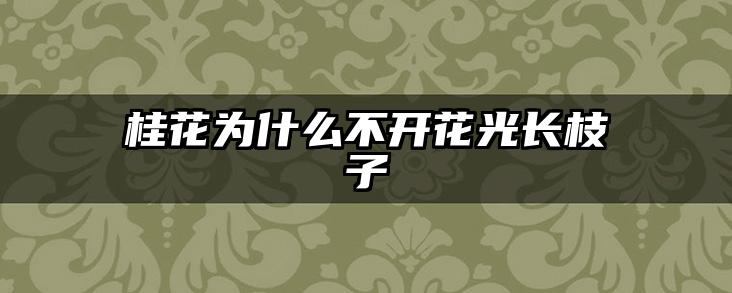 桂花为什么不开花光长枝子
