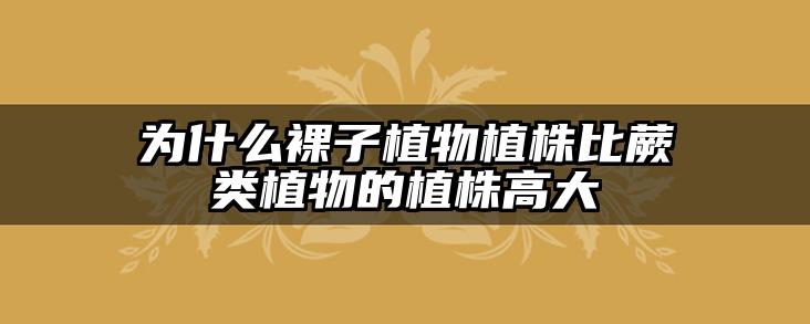 为什么裸子植物植株比蕨类植物的植株高大