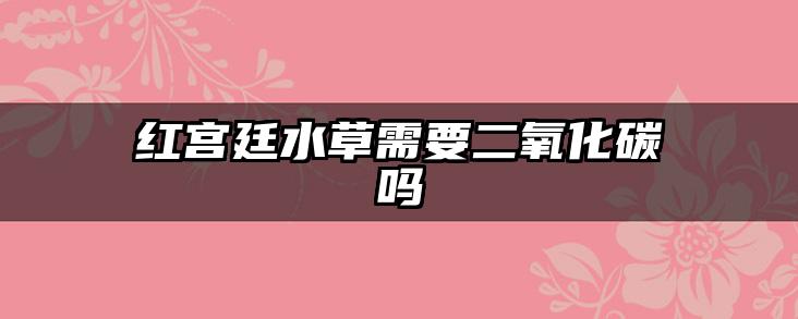 红宫廷水草需要二氧化碳吗