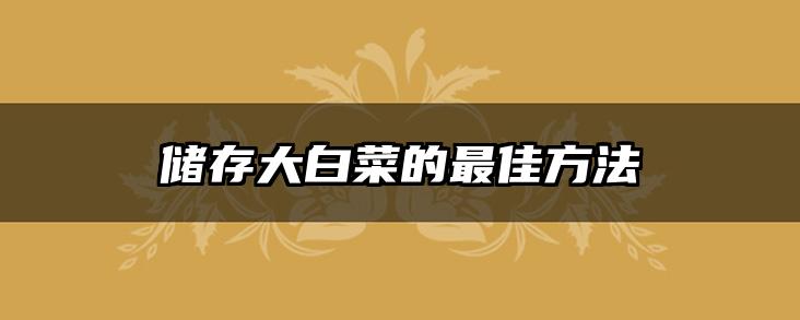 储存大白菜的最佳方法