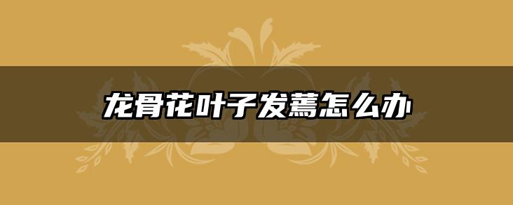龙骨花叶子发蔫怎么办