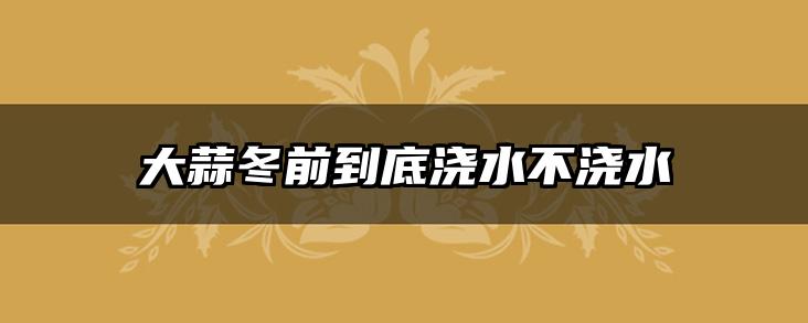 大蒜冬前到底浇水不浇水