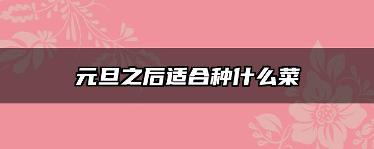 元旦之后适合种什么菜