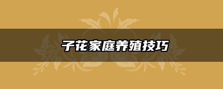 枙子花家庭养殖技巧