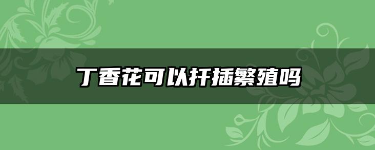 丁香花可以扦插繁殖吗