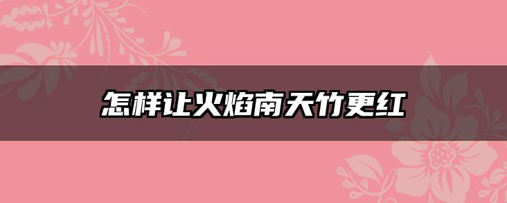 怎样让火焰南天竹更红