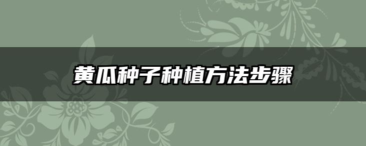 黄瓜种子种植方法步骤