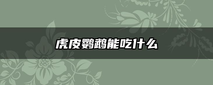 虎皮鹦鹉能吃什么