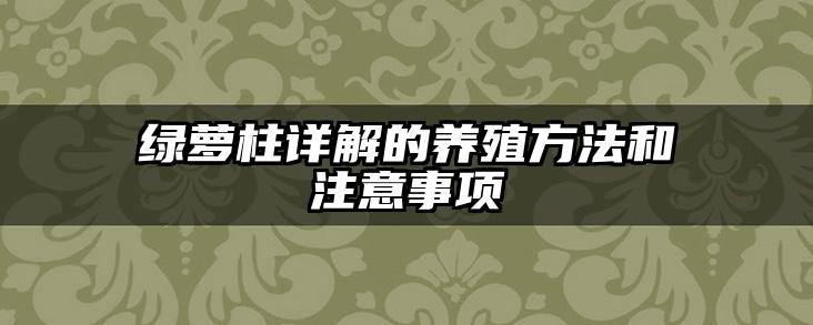绿萝柱详解的养殖方法和注意事项
