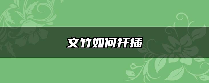 文竹如何扦插