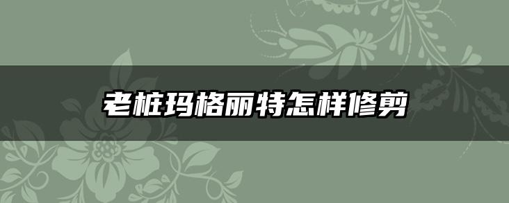 老桩玛格丽特怎样修剪
